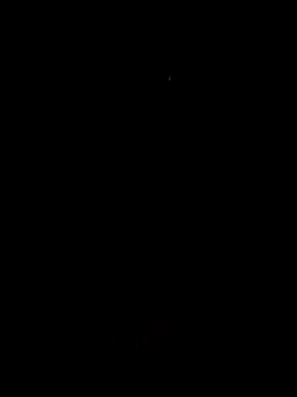 SpiceDiana1 online show from 06-11-26, 08:23