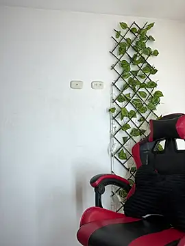 NelModel1 online show from 06-29-26, 02:50