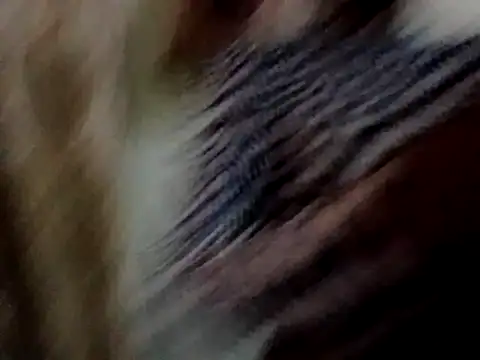 Maridadie online show from 06-24-26, 11:53