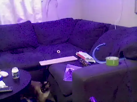 Pbluntz90 online show from 07-23-26, 02:42