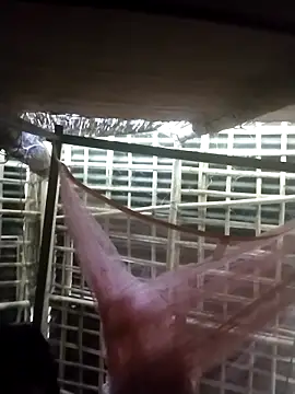 Snapshot of ahnuj91 chatting on 05-28-26, 04:54 ahnuj91 online show from 05-28-26, 04:54
