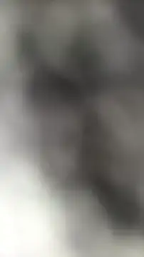 languste25 online show from 07-09-26, 12:09