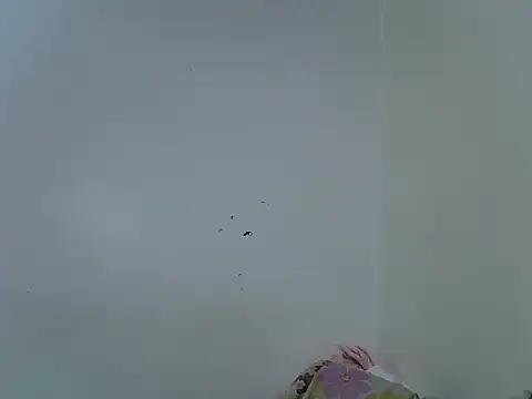 velvet luxe online show from 06-28-26, 04:24