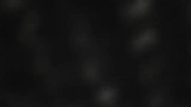 saullll     online show from 08-10-26, 05:11