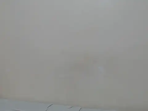 lewinne online show from 07-07-26, 09:08