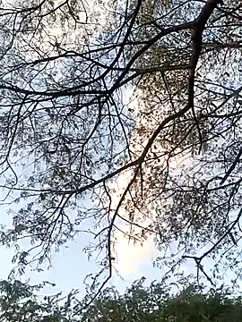 Teluguammai 123 online show from 07-12-26, 01:02