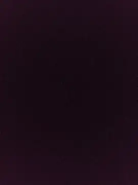 noirlynnexo online show from 08-06-26, 08:44