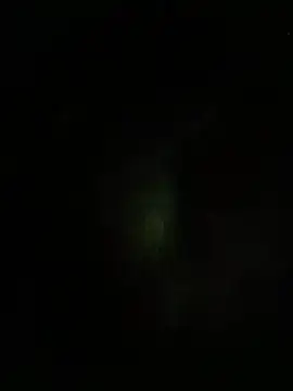dddauxuxn online show from 07-19-26, 01:59