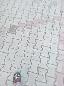 Snapshot of Manish48609 chatting on 01-15-25, 11:53 Manish48609 online show from 01-15-25, 11:53