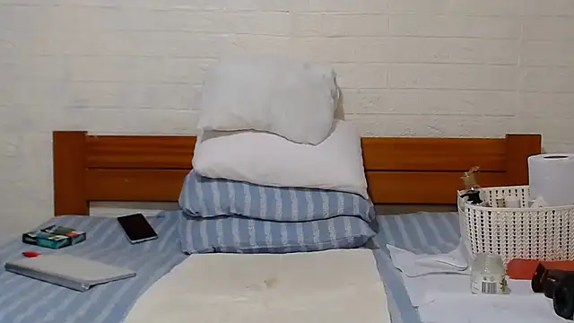 awild kitten online show from 12-15-24, 11:45