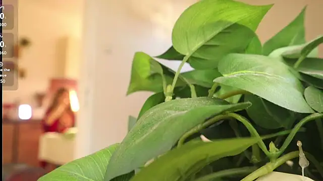 Kishaxxx online show from 03-06-25, 02:08