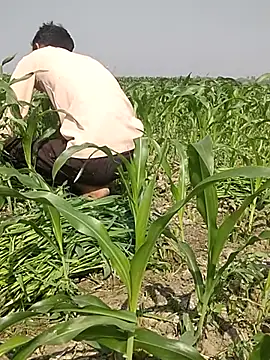 ThethunderPo online show from 03-03-25, 04:25