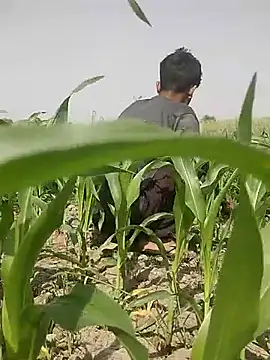 ThethunderPo online show from 03-05-25, 08:10