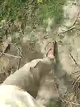 ThethunderPo online show from 02-25-26, 07:51