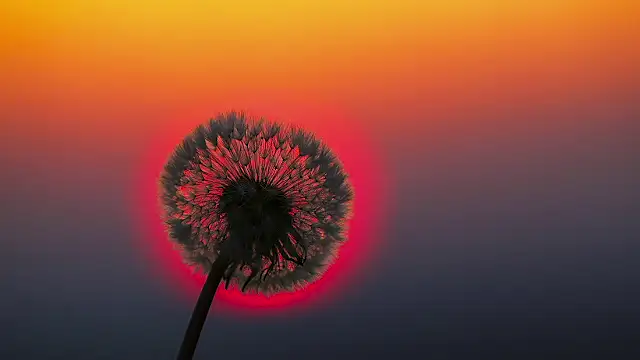 Sunning2 online show from 09-17-25, 09:22