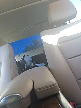 Snapshot of UncutHammer69 chatting on 09-28-25, 04:12 UncutHammer69 online show from 09-28-25, 04:12