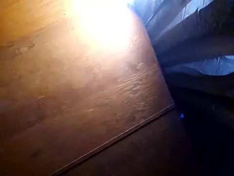 Snapshot of UncutHammer69 chatting on 02-17-26, 03:29 UncutHammer69 online show from 02-17-26, 03:29