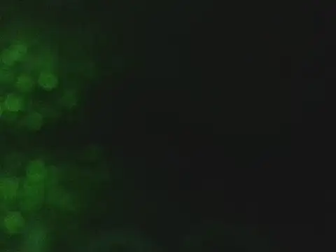 Snapshot of lonelycock33 chatting on 11-07-25, 09:48 lonelycock33 online show from 11-07-25, 09:48