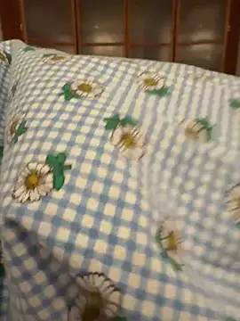 Snapshot of geilerboy2628 chatting on 02-10-26, 11:20 geilerboy2628 online show from 02-10-26, 11:20