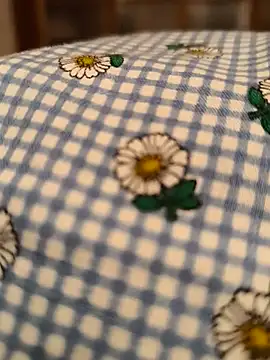 Snapshot of geilerboy2628 chatting on 03-11-26, 10:16 geilerboy2628 online show from 03-11-26, 10:16