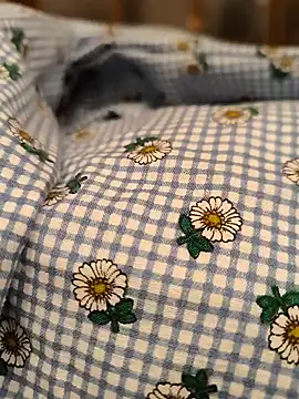 Snapshot of geilerboy2628 chatting on 03-13-26, 02:07 geilerboy2628 online show from 03-13-26, 02:07