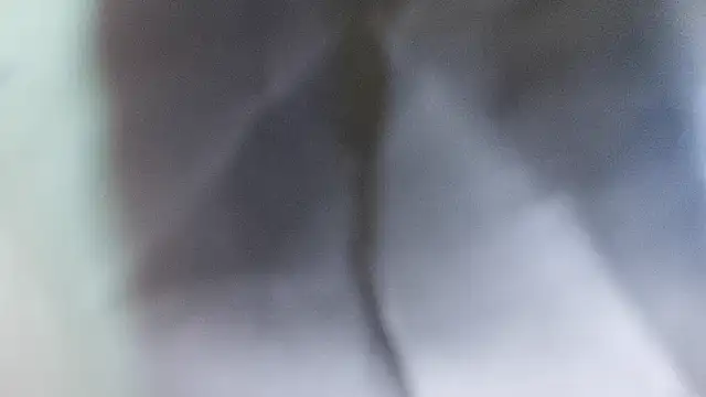 domjoab online show from 02-02-26, 11:31