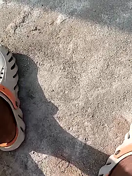 Bengali BULL1 online show from 11-22-25, 04:00