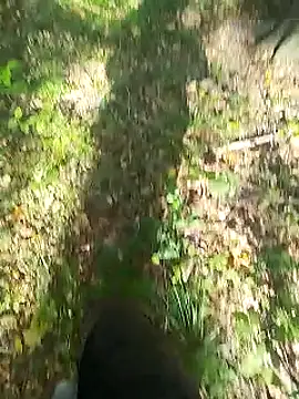 Snapshot of sarpe4 chatting on 09-14-25, 08:02 sarpe4 online show from 09-14-25, 08:02