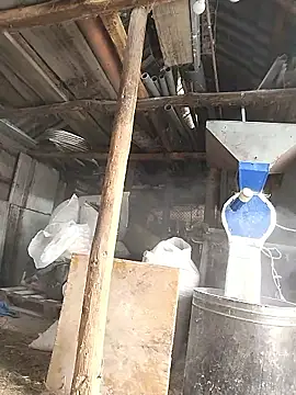 Snapshot of sarpe4 chatting on 01-08-26, 07:54 sarpe4 online show from 01-08-26, 07:54