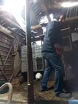 Snapshot of sarpe4 chatting on 02-21-26, 05:19 sarpe4 online show from 02-21-26, 05:19