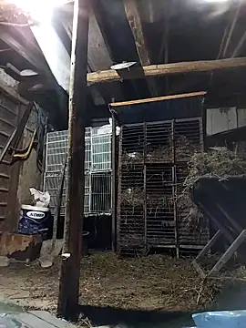 Snapshot of sarpe4 chatting on 03-02-26, 04:58 sarpe4 online show from 03-02-26, 04:58