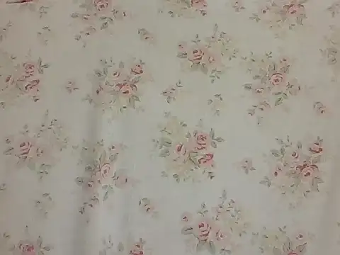 Snapshot of sarathchandru chatting on 02-02-26, 11:03 sarathchandru online show from 02-02-26, 11:03