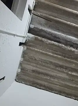 Snapshot of DAELAA chatting on 02-18-25, 01:54 DAELAA online show from 02-18-25, 01:54