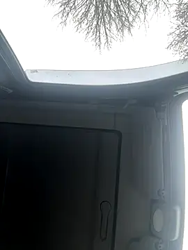 Snapshot of Lionayowe chatting on 11-19-25, 10:59 Lionayowe online show from 11-19-25, 10:59