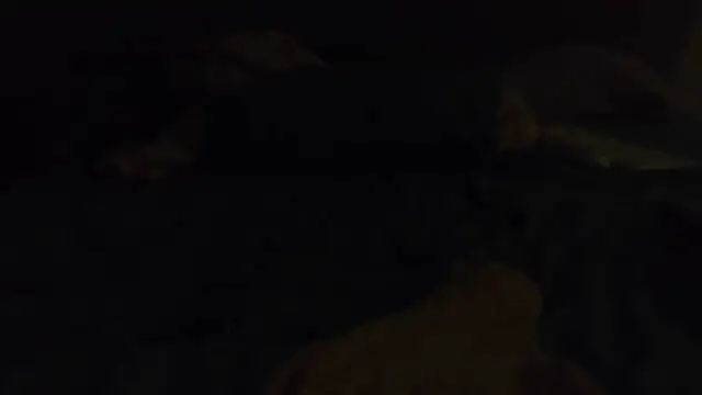 k-dong online show from 04-26-26, 03:26