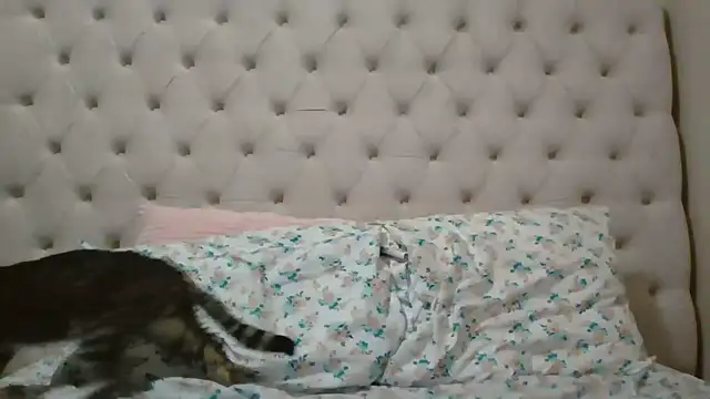 beautylovess online show from 02-05-26, 11:42