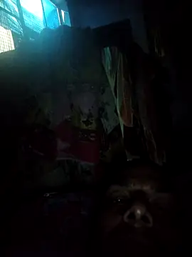 Snapshot of Rajx13123 chatting on 10-14-25, 05:14 Rajx13123 online show from 10-14-25, 05:14