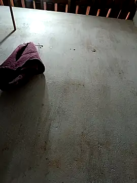 Daniellhck online show from 11-23-25, 12:05