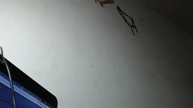 Snapshot of adrixxx38 chatting on 03-05-26, 12:17 adrixxx38 online show from 03-05-26, 12:17