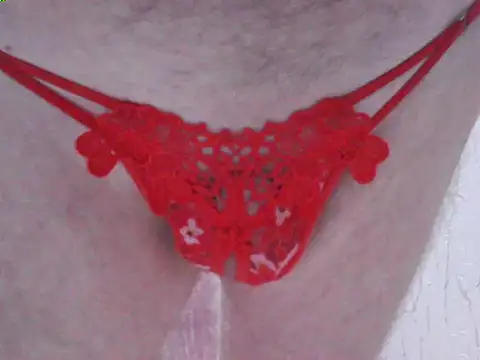 Snapshot of svvs27 chatting on 02-17-25, 09:35 svvs27 online show from 02-17-25, 09:35