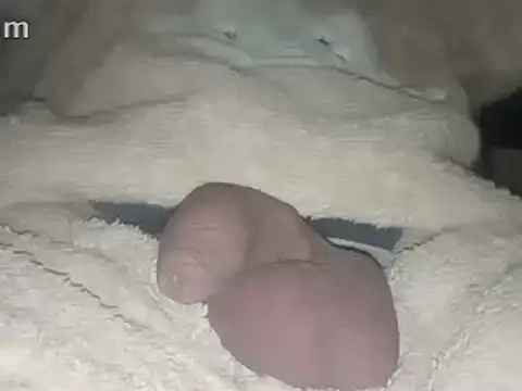 Snapshot of Bigdick666cm chatting on 02-22-25, 03:45 Bigdick666cm online show from 02-22-25, 03:45