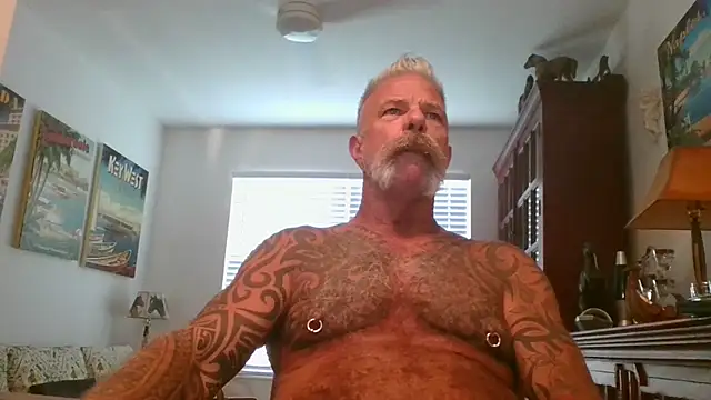 njdbear online show from 11-01-25, 09:17