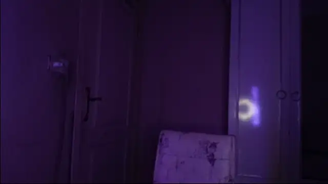 Bullish online show from 01-22-25, 11:45