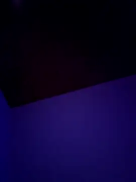 Snapshot of Pavelbure77 chatting on 02-15-26, 12:40 Pavelbure77 online show from 02-15-26, 12:40