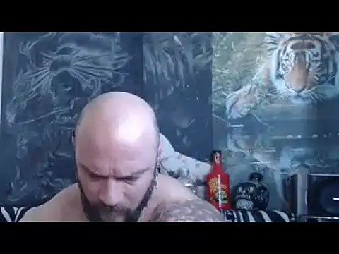 viking 30 online show from 04-26-26, 06:33