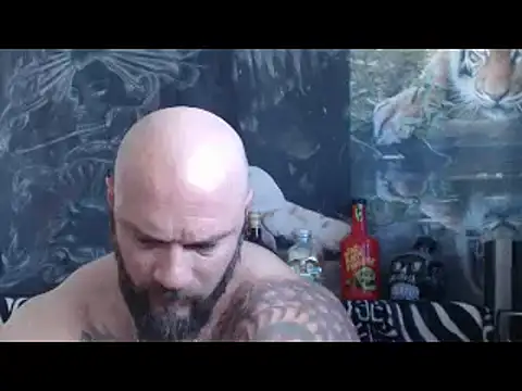 viking 30 online show from 04-28-26, 06:29