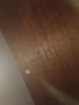 Snapshot of Kw8585kw chatting on 03-01-26, 08:22 Kw8585kw online show from 03-01-26, 08:22