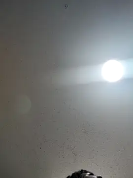 6lue6a6y69 online show from 12-22-24, 01:12