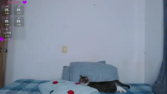 Snapshot of valen_thompson chatting on 03-01-26, 11:07 valen thompson online show from 03-01-26, 11:07