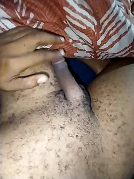 Dennis0847 online show from 04-29-26, 08:59